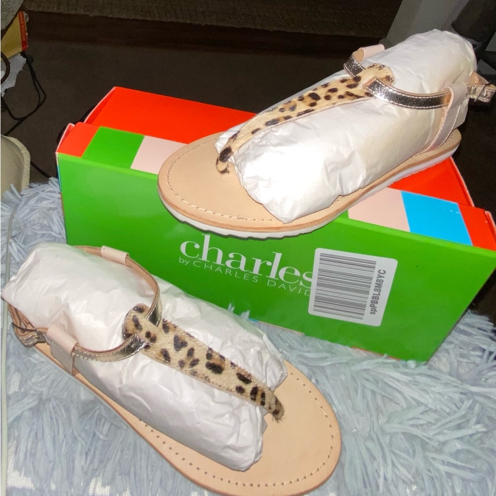 Designer’s Shoes